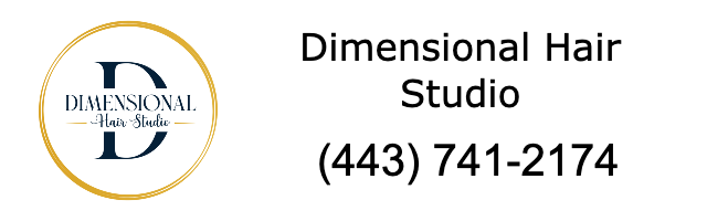 Dimensional Sair Studio logo